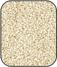 Sesame-Seeds